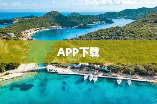 APP下载